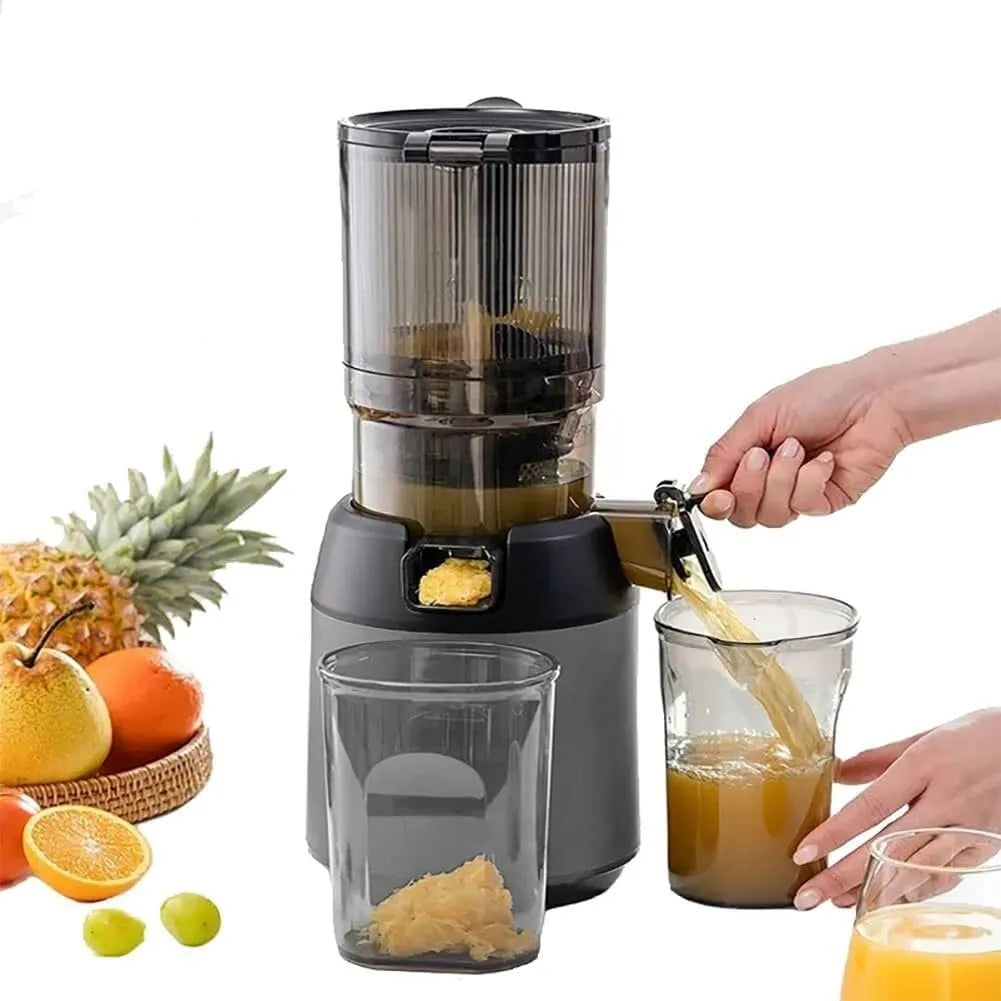 Slow Juicer Machines met 300 W, 13cm, 2L en grijs, 300 W Professionele Koude Pers Masticerende Extractor
